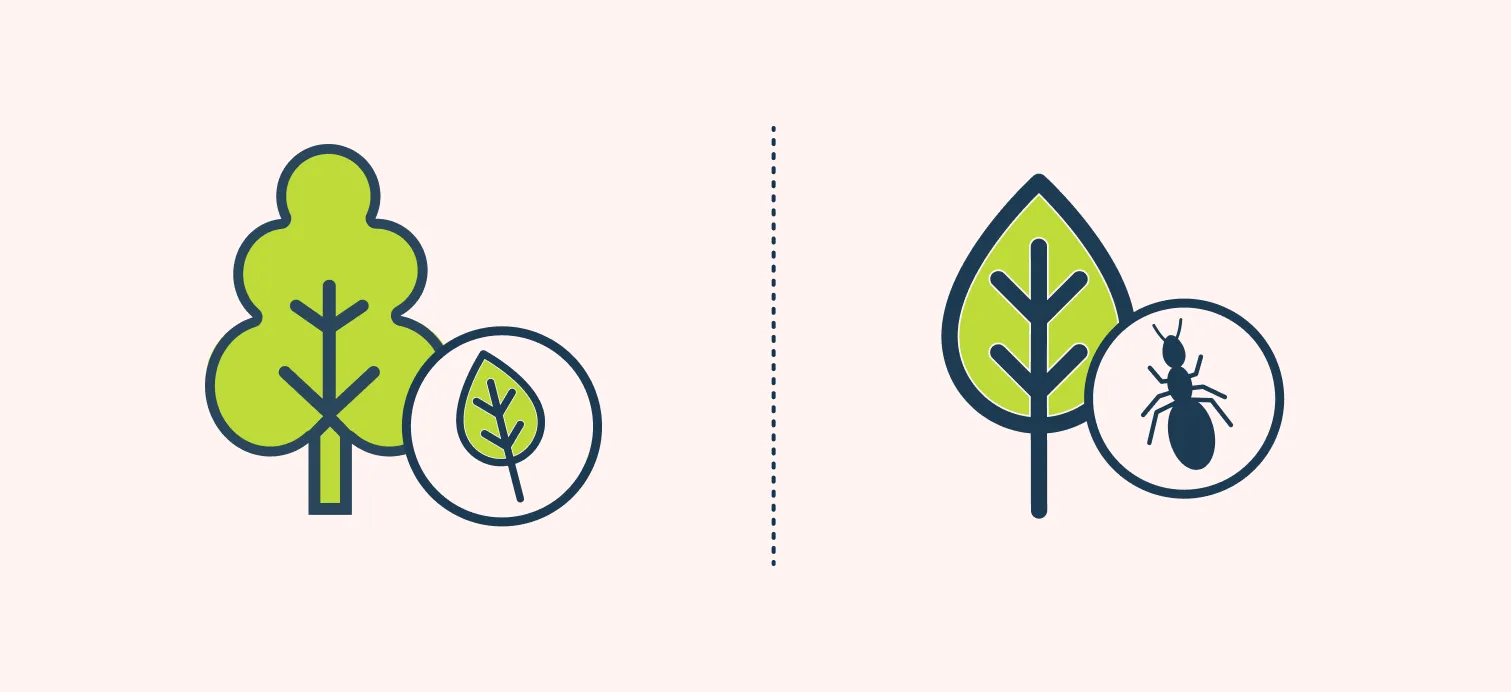 Relationship in proportion in design