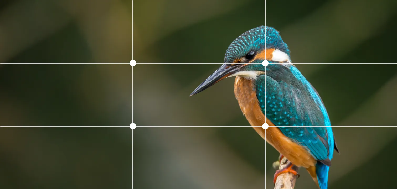 image with rule of thirds applied